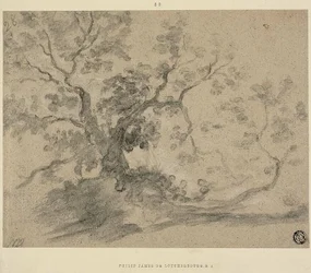 Trees