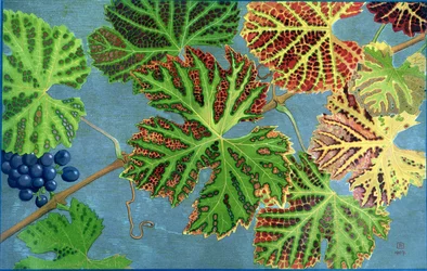 Autumn Leaves, by Philippe Robert, editions Robert Ried