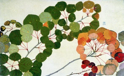Autumn Leaves, by Philippe Robert, editions Robert Ried