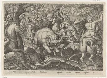 Elephant Hunt