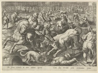 Bullfight