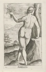 Water Nymph Ambracia