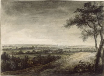 View into a Vast Landscape