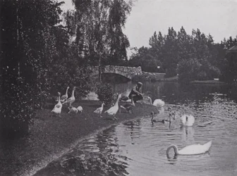 Lake, Beacon Hill Park, Victoria, British Columbia