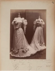 Album Page: House of Worth, Ball Gown