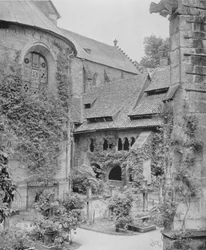 Thousand-Year-Old Rosebush