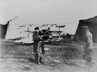 The Red Baron and his dog
