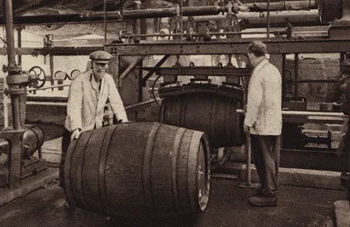 Cask Cleansing Shed, St James