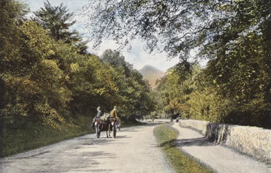 Ireland: The Glen of the Downs, Sugar Loaf Mountain, County Wicklow