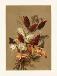 Sumac and Milkweed