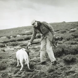 11th Duke of Devonshire at a grouse shoot at Bolton Abbey