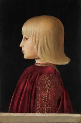 Portrait of a Boy, Guidobaldo Da Montefeltro