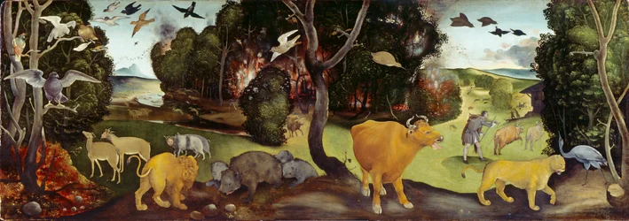 The Forest Fire, c1505