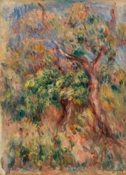Landscape