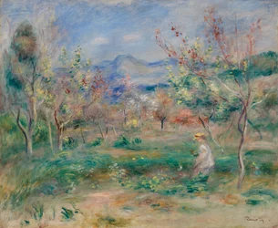 Landscape