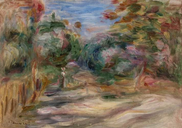 Landscape