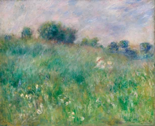 Meadow