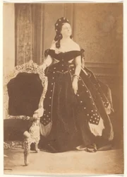 Stella (other)