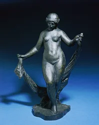Dancer with a Veil