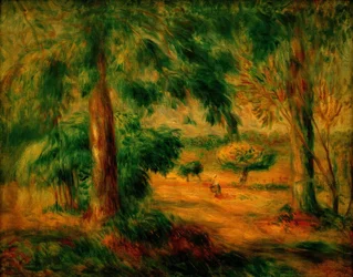 Landscape of the South