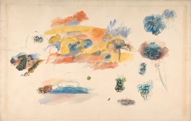 Studies of Landscape, Trees, and Exotic Fruit