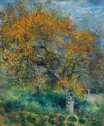 The Pear Tree