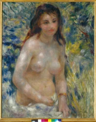 Torso of a Woman in the Sun
