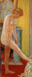 Young nude girl in front of the fireplace