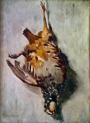 Red partridge