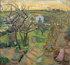 Spring Sunset