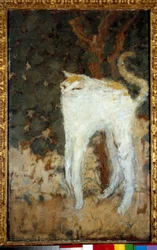 The White Cat