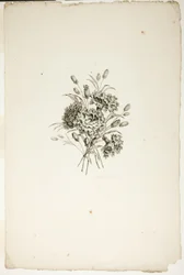 Bouquet with Carnations, from Collection of Different Bouquets of Flowers, Invented and Drawn by Jean Pillement and Engraved by P. C. Canot