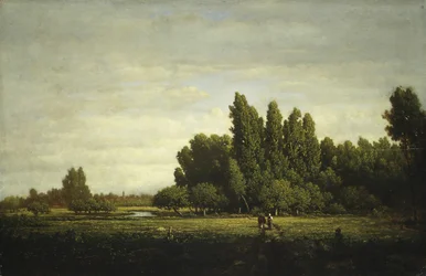 A Meadow Bordered by Trees