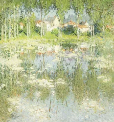 Summer Landscape