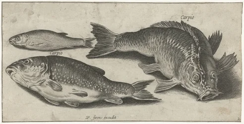 Three Carps