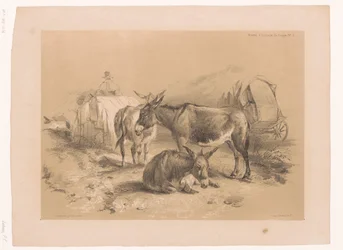 Study of Three Donkeys