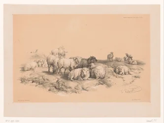 Study of a Flock of Sheep (series title: Animal Studies by Cooper)