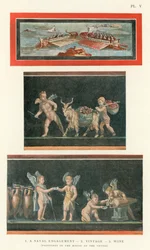 A Naval Engagement, Vintage, Wine