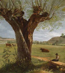 Pollard Willow, after 1804