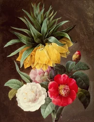 Exotic Flowers