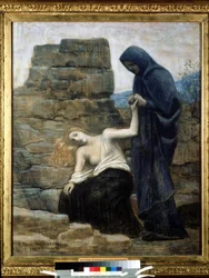 The Compassion