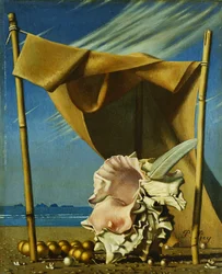 Shell and Drape