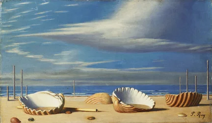 Shells on a Landscape