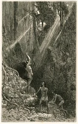 Suno Indians, from the banks of the Napo River (Amazon), hunting by blowpipe. Engraving by Vignal, to illustrate the story 