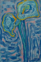 Calla Lilies