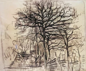 Study of trees by Piet Mondrian (1872-1944), charcoal and white lead drawing. Netherlands, 20th century.