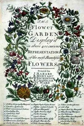 Frontispiece to The Flower Garden Displayed by Robert Furber, engraved by James Smith, pub. 1732