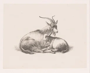 Buck and a Goat
