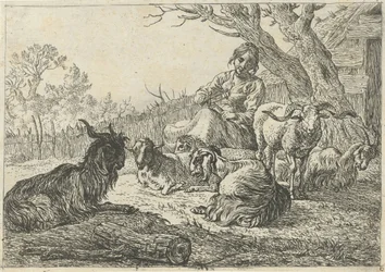 Shepherdess Among Goats and Sheep (Various Animals)