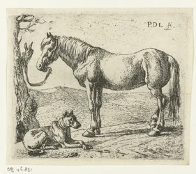 Horse and Dog in a Meadow (series title: Horses)